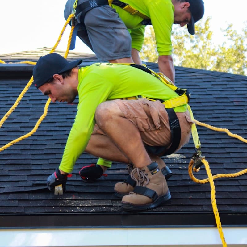 Roofing crew in safety harnesses installing shingles on a residential roof